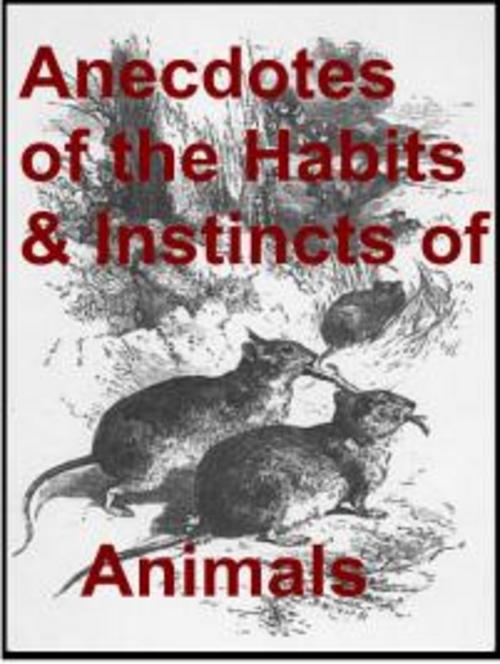 Product picture Anecdotes of the habits and instincts of animals