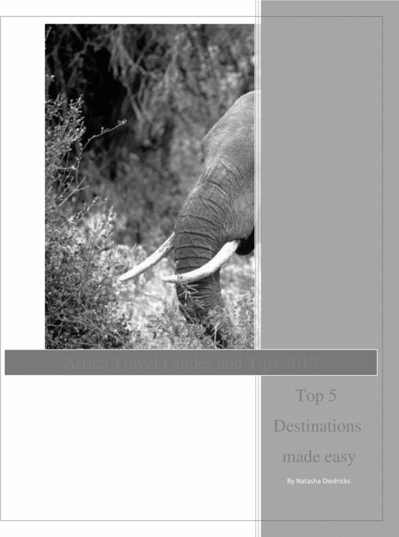 Product picture Africa Travel Guides and Tips - Top 5 Destinations made easy